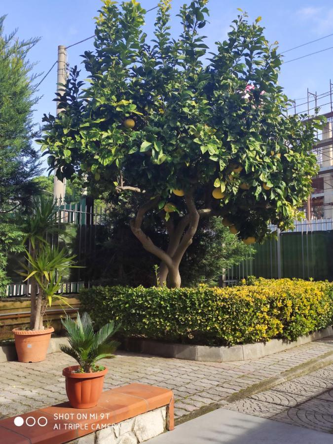 I Colori Del Vesuvio Apartment ซาน เซบาสเตียโน อัล เวซูวิโอ ภายนอก รูปภาพ